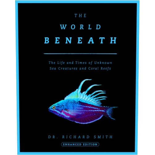 Dr. Richard Smith The World Beneath: The Life and Times of Unknown Sea Creatures and Coral Reefs