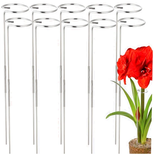 RAIKEDR 30 or 16 Inch Plant Stakes for Flowers - 10 Pcs, Stainless Steel Garden Tall Single Stem Support Stake Plant Cage Support Rings for Amaryllis Tomatoes Peony Lily Rose Narcissus (10, 1.6, Pounds)