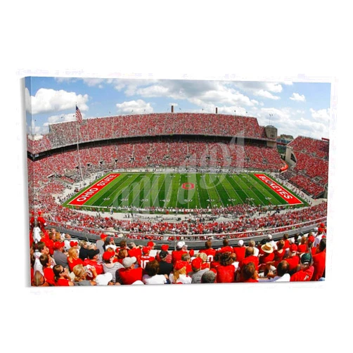 TSFTEC Office And Home Decoration Ohio State Stadium Poster Canvas Painting Posters And Prints Wall Art Pictures for Living Room Bedroom Decor 12x18inch(30x45cm) Frame-style