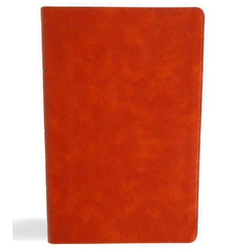 By CSB Bibles by Holman (Author) CSB Giant Print Single-Column Bible, Burnt Sienna LeatherTouch, Black Letter, Presentation Page, Sewn Binding, Full-Color Maps, Easy-to-Read Bible Serif Type