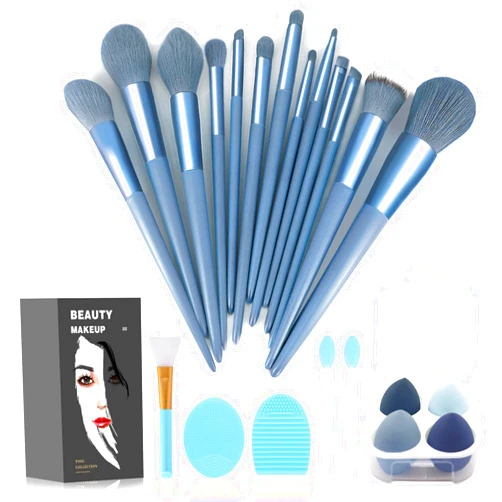 Koccido Makeup Brushes 22 Pcs Makeup Kit,Foundation Brush Eyeshadow Brush Make up Brushes Set (Blue, 22 Piece Set)