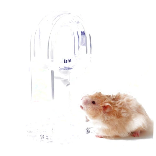 Tafit Vacuum Water Bottle with Stand