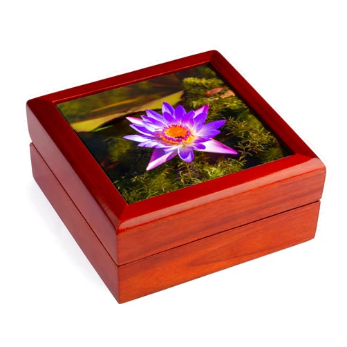 3dRose USA, Austin, Texas, Water Lily, Zilker Botanical Garden, Zilker Park., Jewelry Box jb-208224-1