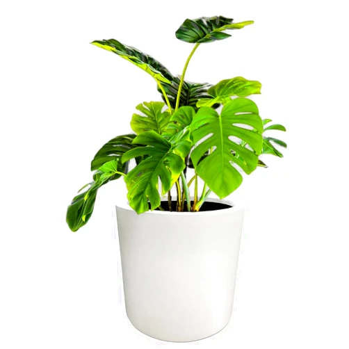 Elly Décor Cylindrical 10-inch Pot, White Planter Made of Fiberglass and Hand-Painted, Suitable for Indoor and Outdoor Plants and Flowers, with Drainage Hole and Plug.