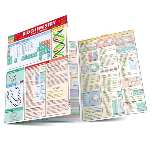 Inc. BarCharts Biochemistry (Quick Study Academic)