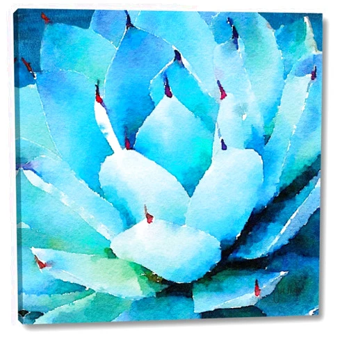 Canvas Art USA Oppulent Succulents II by Jill Meyer - 16
