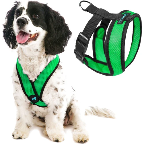 Gooby Comfort X Head in Harness - Hunter Green, Small - No Pull Small Dog Harness Patented Choke-Free X Frame - On The Go Dog Harness for Medium Dogs No Pull or Small Dogs for Indoor and Outdoor Use