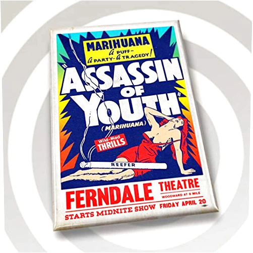 ElectricVector.com Assassin Of Youth - Magnet