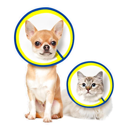 MIDOG Cat Cone, Protective Adjustable Pet Cone Collar for After Surgery,Soft Cat Recovery Collar to Stop Licking Wounds, Comfortable Lightweight E-Collar for Cat Mini Dogs,Not Block Vision (Yellow,XL)