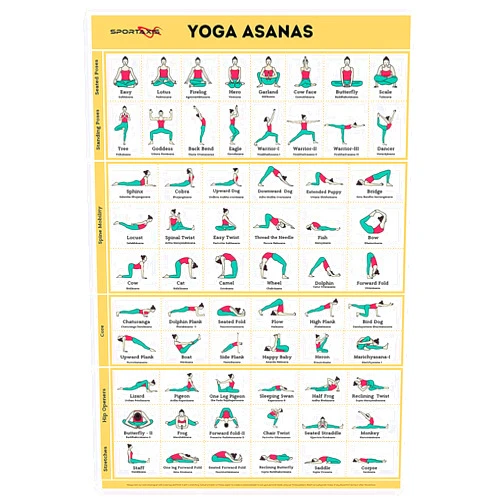 SPORTAXIS Yoga Poses Poster- 64 Yoga Asanas For Full Body Workout- Laminated Home Workout Poster With Colored Illustrations - English And Sanskrit Names