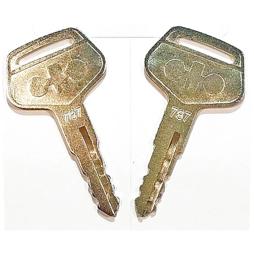 Aree Pair (2 Keys) Komatsu Equipment Key-Ignition Key for Komatsu, Kalmar, Dressta, Sakai, Part Number 787 Keys 2019