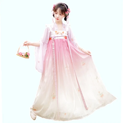 MIDERDO Hanfu Women's Cute Hanfu Birthday Party Clothes Chinese Style Elegant Fairy Skirt Student Dance Performance Clothes (Color : Pink, Size : Small)