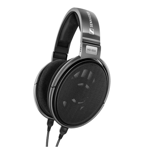 Sennheiser Consumer Audio HD 650 - Audiophile Hi-Res Open Back Dynamic Headphone, Titan