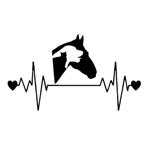 QooSNJJ 5 Pcs Car Window Bumper Vinyl Sticker16.8X9.2CM Animal Lover Cat Horse Dog Car Sticker Vinyl Decal
