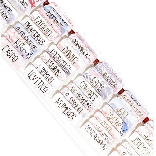 Idyllic Grace - Spanish Graceful - Pestañas de la Biblias - Gold Foil - Bible Study - Old and New Testament - Christian - Catholic - Index Tabs - Glossy Laminated - Durable