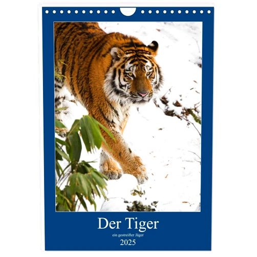 CALVENDO Der Tiger - ein gestreifter Jäger (Wandkalender 2025 DIN A4 hoch), CALVENDO Monatskalender [Calendar] Cloudtail the Snow Leopard