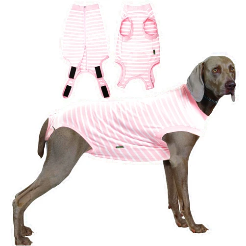 SyChien Dog Recovery Suit Female,Pink Small Surgery Recovery Shirt,Pink-White Striped S