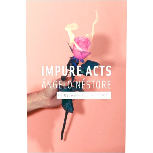 Angelo Nestore,Lawrence Schimel Impure Acts