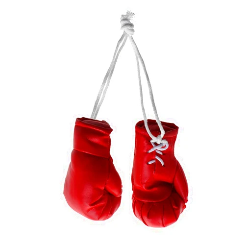 QIXIAMO Boxing Gloves ature Punching Gloves Holiday Christmas Ornament Hanging Decoration or Souvenir Display for Home