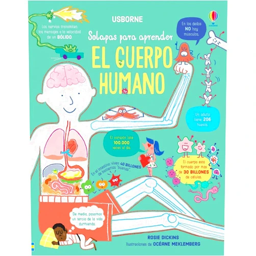Spanish Edition by Rosie Dickins (Author), Oceane Meklemberg (Illustrator) El cuerpo humano (Lift-the-flap, How Your Body Works)