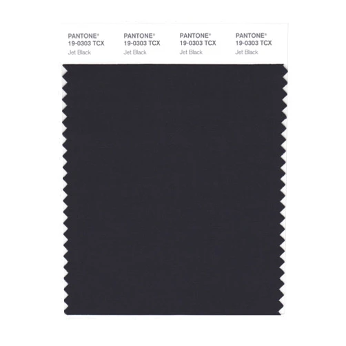 PANTONE Smart 19-0303X Color Swatch Card, Jet Black