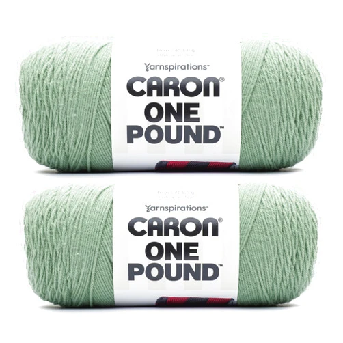 Caron One Pound Succulent Yarn - 2 Pack of 16oz/453.6g - Acrylic - #4 Worsted (Medium) - 812 Yards - Knitting & Crochet