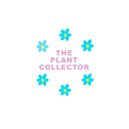 Nature Projects Notebooks The Plant Collector: Journal/ Notebook to organize your plants. Record every details about your plants, flowers, garden. Gift Idea for Plant Lovers.