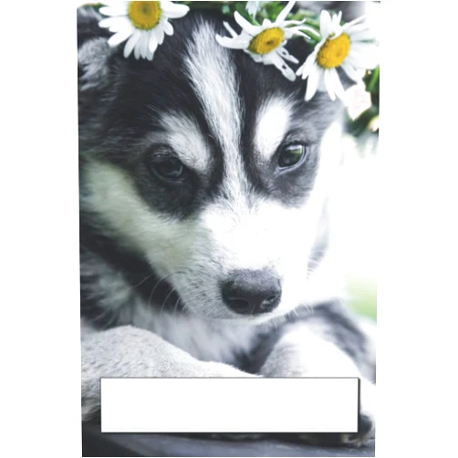 By Lora Lei (Author) Husky (Dogs by BlueMarble)