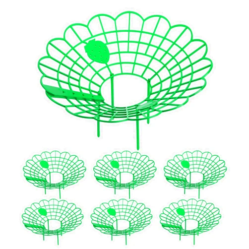Iceyyyy 6Pack Strawberry Supports - Strawberry Plant Support Stand Strawberry Growing Racks Protector Strawberry Growing Frame Holder Cage (6, B)