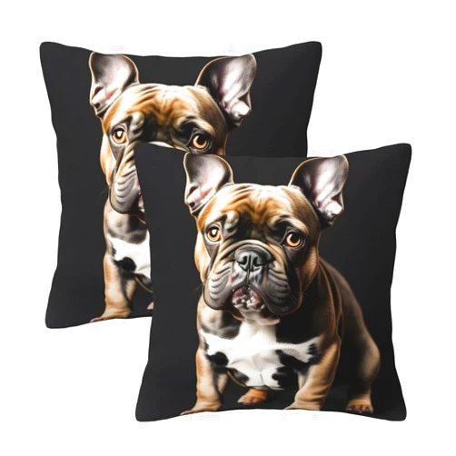 YQxwJL Long Ears French Bulldog Print Throw Pillow Cases Pack of 2, Decorative Cushion Covers for Couch Bed Sofa Farmhouse 18 X 18 Inch