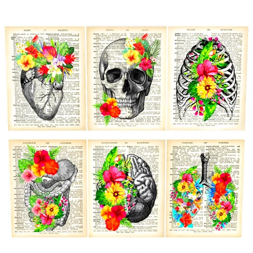 PARTH iMPEX Medical Dictionary Art Set - Vintage Anatomical Posters Retro Floral Wall Decor for Doctors Office Clinic Med Student Dorm Gifts for Nurses Physician Assistant PA Women Men - Unframed 8 x 10 Prints