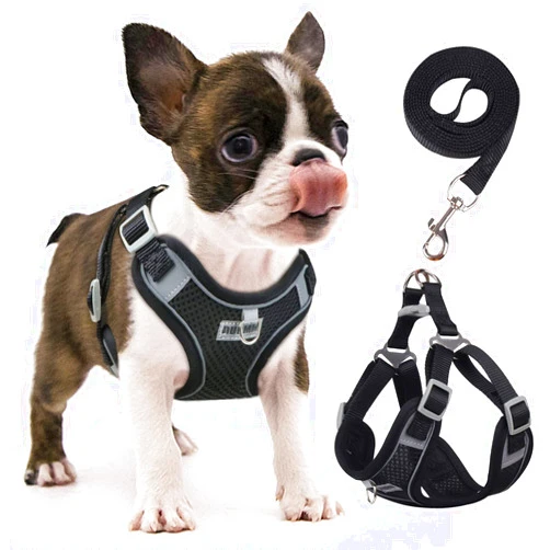 rennaio Dog Harness No Pull, Adjustable Puppy Harness with 2 Leash Clips, Ultra Breathable Padded Dog Vest Harness, Reflective Dog Harness and Leash Set for Small and Medium Dogs (Black, S)