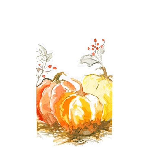 Shopafoodieaffair 2 Pkgs Painted Pumpkin Hostess Paper Napkin 16 count ea pkg, Autumn Napkins