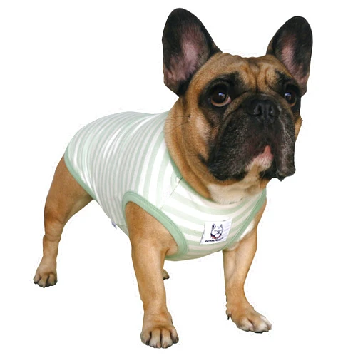 iChoue French Bulldog Striped T Shirts Clothes for Medium Dogs Vest Tank Tops Puppy Frenchie Pug English Boston Terrier Pitbull Green White Stripes - Medium