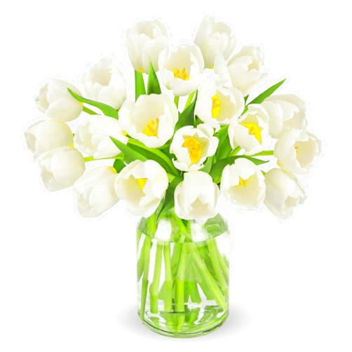 Benchmark Bouquets - 20 Stem White Tulips (Glass Vase Included) – Fresh Flowers for Delivery - Gift for Easter, Mother’s Day, Birthday, Anniversary, Sympathy, Get Well, Congratulations