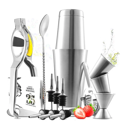 EATEX Bar Set Cocktail Shaker Set, Stainless Steel Mixology Bartender Kit, 16 Piece Cocktail Kit, Silver Cocktail Set, Bar Tools: 30oz Martini Shaker, Muddler, Bar Kit Cocktail Book, Jigger and Pourers