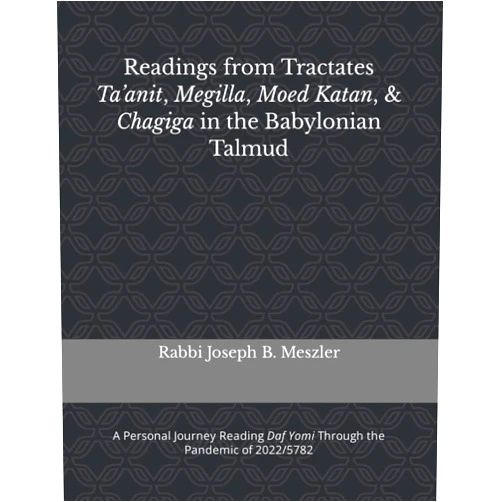 Rabbi Joseph B. Meszler Readings from Tractates Ta’anit, Megilla, Moed Katan, & Chagiga in the Babylonian Talmud: A Personal Journey Reading Daf Yomi Through the Pandemic of 2022/5782 (Rabbi Joseph Meszler's Talmud Blog)