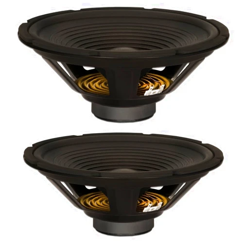 Goldwood Sound, Inc. Stage Subwoofer, OEM 12