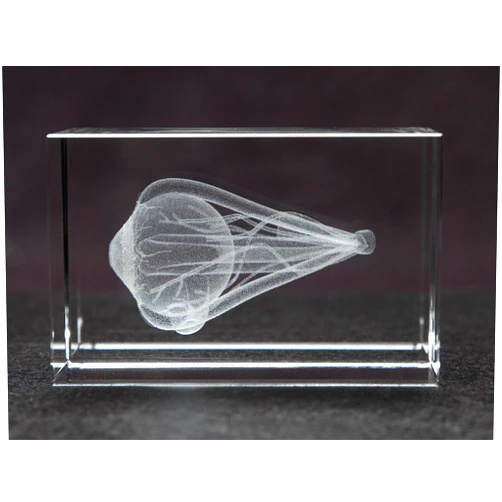 Blue Tree Publishing Eye 3D Crystal, Anatomy, Ophthalmologist and Opthomologist Gift