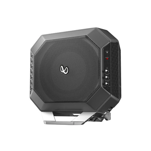Infinity Basslink 200-Watt, Dual 10-Inch Powered Subwoofer System (Black)