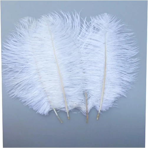 ADAMAI 10PCS Natural 7.8-9.8inch Ostrich Feathers Plume for Wedding Centerpieces Home Decoration (White)