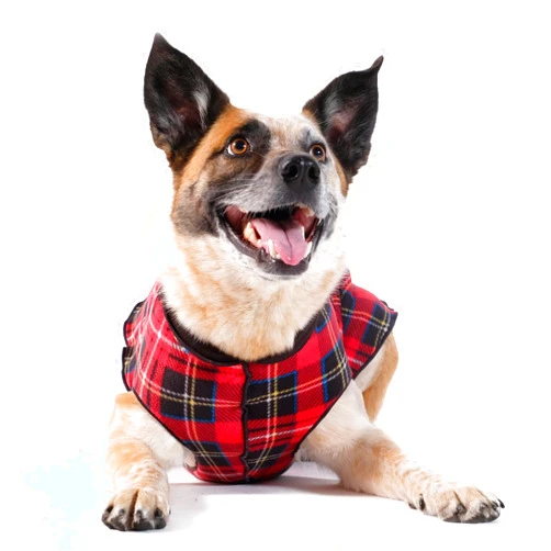 Gold Paw Goldpaw Duluth Double Fleece Dog Sweater Vest for Small Dogs - Soft, Stretchy Dog Fleece - Warm Pet Jacket for Fall and Winter - Premium Pet Outerwear - Machine Washable - Red Tartan/Black - Size 12