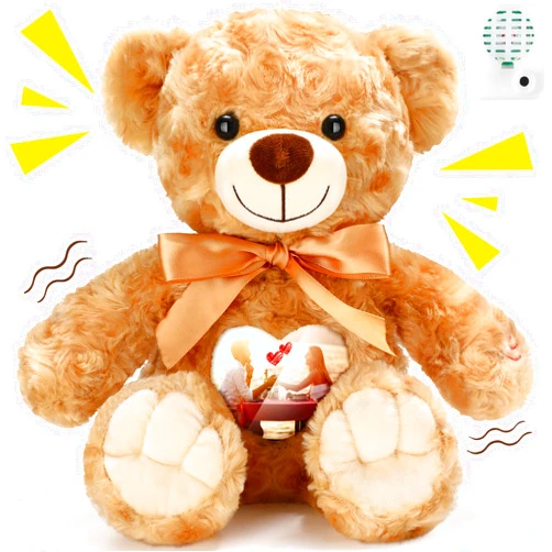 Silipull Remembrance Bear 12 Inch Rose Velvet Stuffed Animal with Recorder Brown Voice Recording Stuffed Animal with Picture Frame Recordable Gifts Fabric Toy