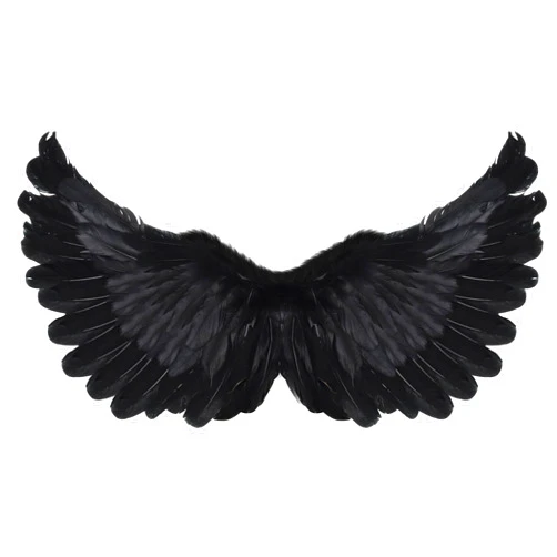Duellen Angel Wings, Angel Costume Wings and Halo, Black Feather Angel Wings Costume for Women Kids Girls, Halloween Cosplay Costume