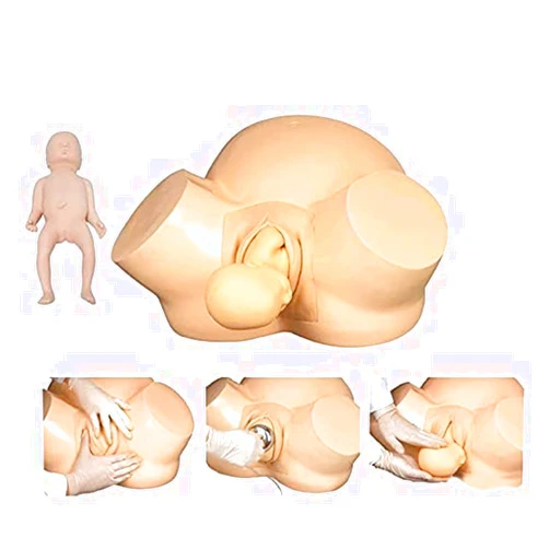 GHDE&MD Anatomy Childbirth Simulator Manikin, Obstetrics and Gynecology Delivery Maternity Manikin for Gynecology Teaching, Medical Fertility Education and Study