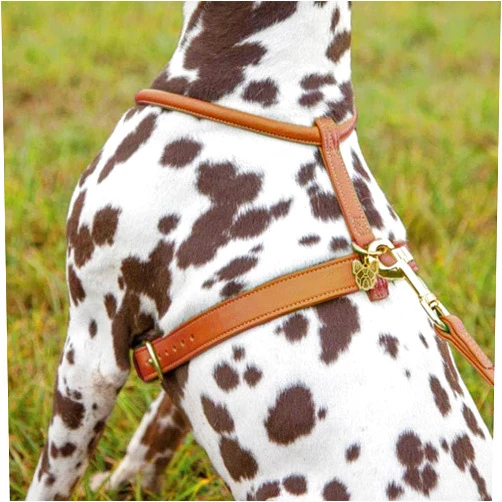 DIGBY & FOX Shires Rolled Leather Harness