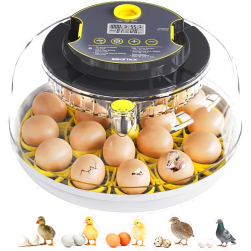 IBKINXX Incubator for Hatching Eggs-18 Egg Capacity, Automatic Egg Turner, Temperature & Humidity Control, 360° Viewing for Chicken, Duck and Quail Eggs