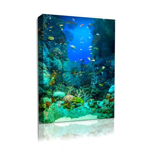 FPMVRTAYU 23''x34'' Canvas Wall Art Painting Sentosa Aquarium Home Decoration Print On Framed Canvas Ready to Hang Picture Poster Artwork for Wall Decor
