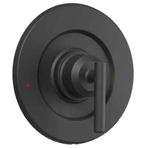 Delendo Replacement for Moen Single Lever Shower Handle, Compatible with T2901BL Gibson Posi-Temp Shower/Tub Pressure balanced Valves-Valve Trim Kit Only, Matte Black Shower Trim Kit without Valve
