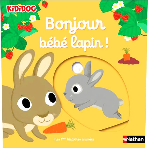 French Edition by Nathalie Choux (Illustrator) Bonjour bébé lapin !